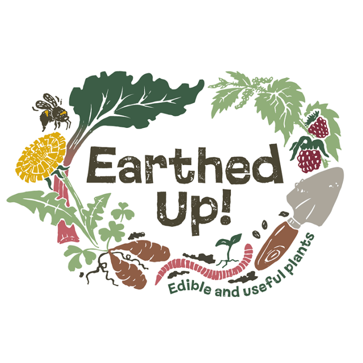Happy Solstice From Earthed Up! – Earthed Up!