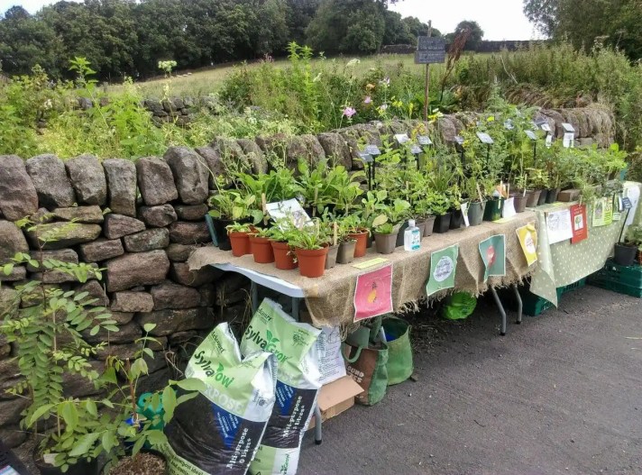Spring Plant Sale Belper Earthed Up