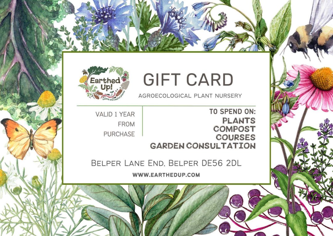 An image of an Earthed Up gift card explaining what it can be spent on. It's surrounded by drawings of plants and flowers.