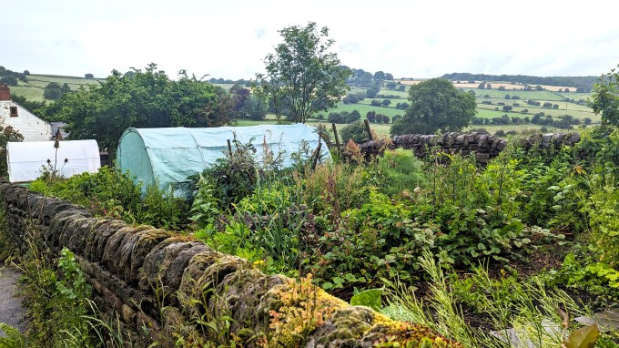 A veiw over the stone wall into the garden of Earthed Up agroecological plant nursery.