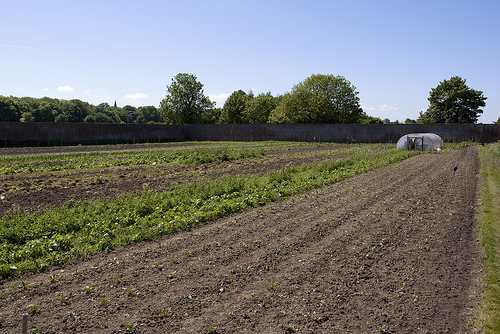 A view looking down freshly tilled rows of soil at Slater Organics market garden.